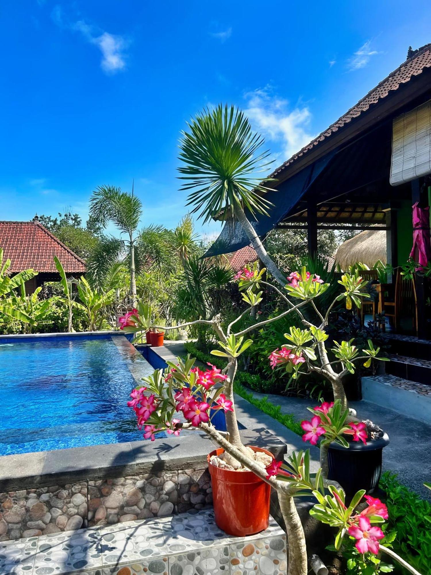 Island Garden Huts Lembongan Bed and Breakfast Eksteriør billede