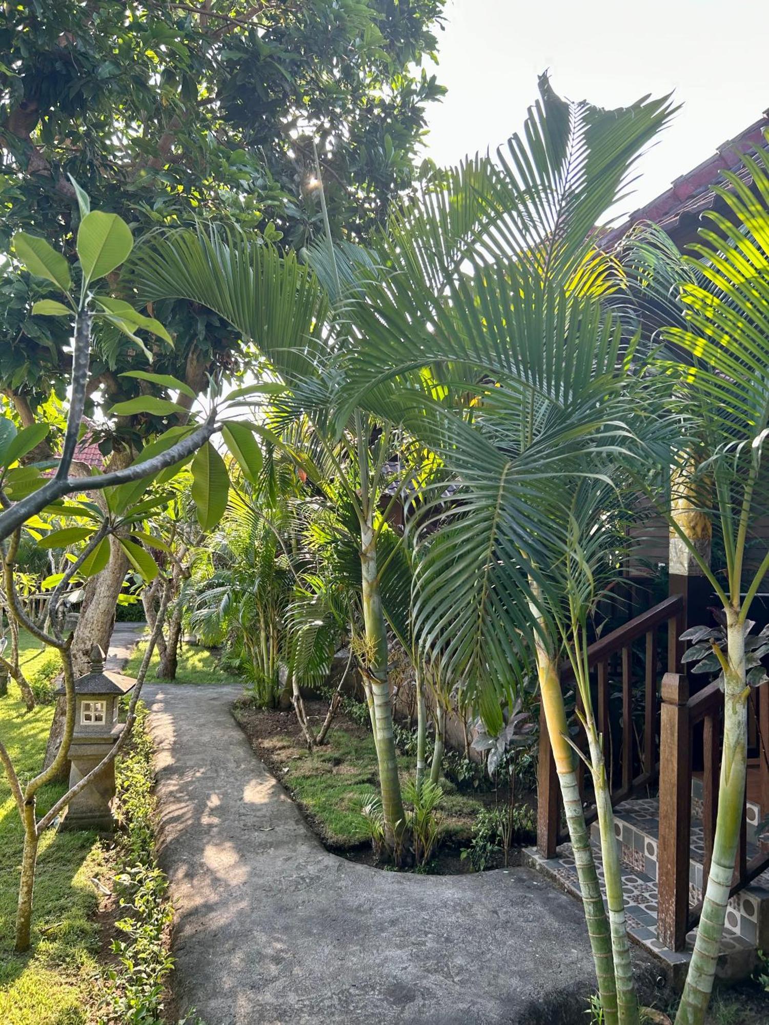 Island Garden Huts Lembongan Bed and Breakfast Eksteriør billede