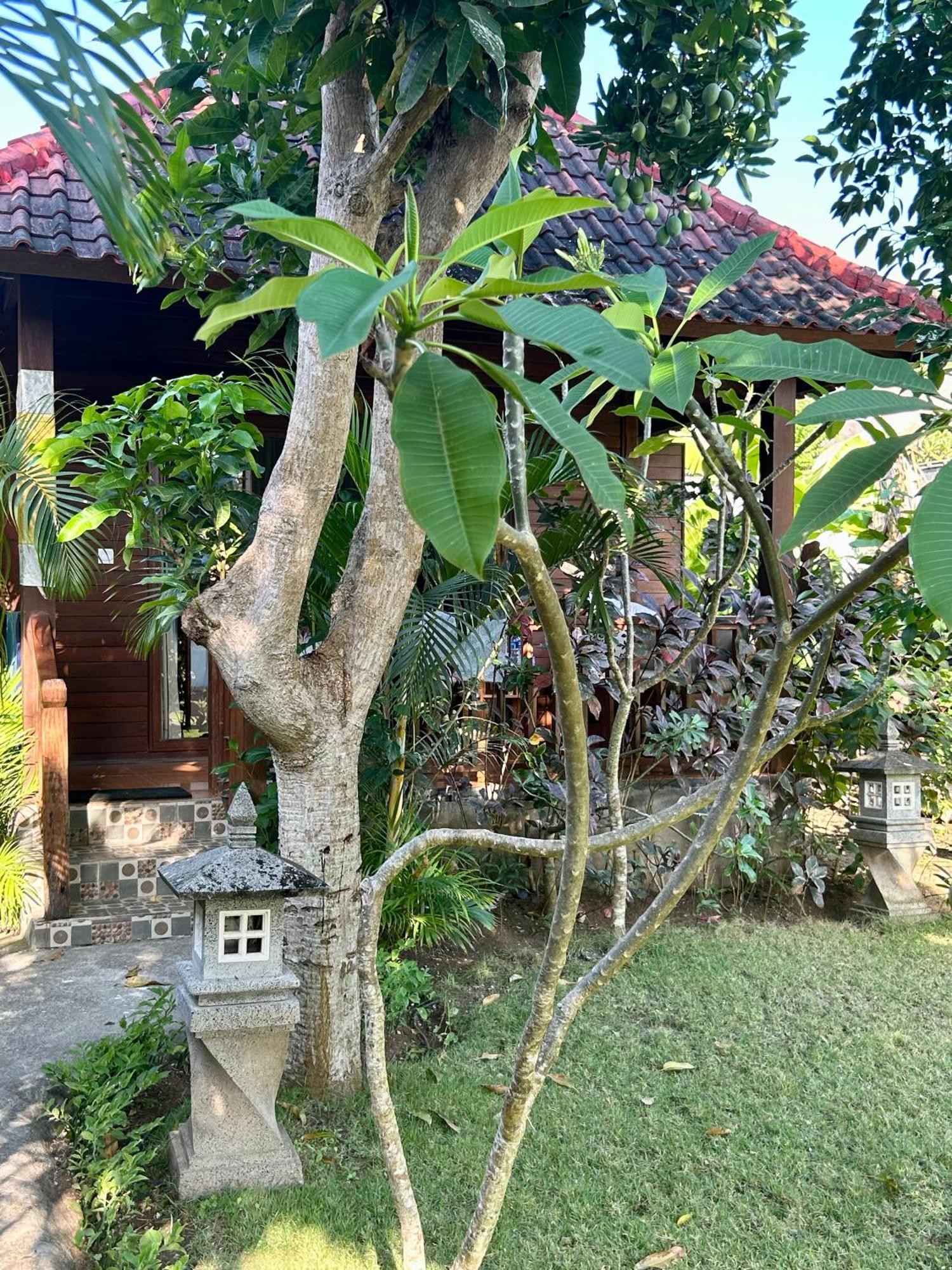 Island Garden Huts Lembongan Bed and Breakfast Eksteriør billede