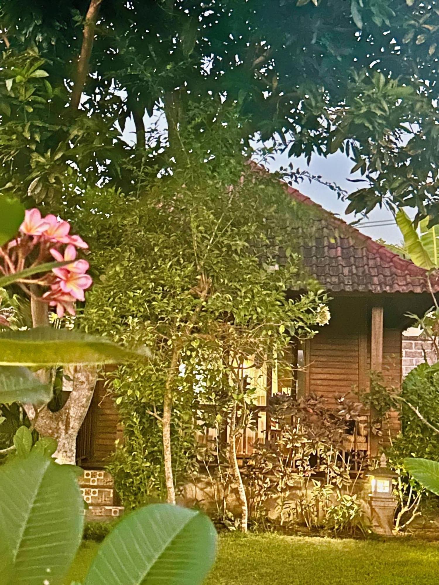 Island Garden Huts Lembongan Bed and Breakfast Eksteriør billede