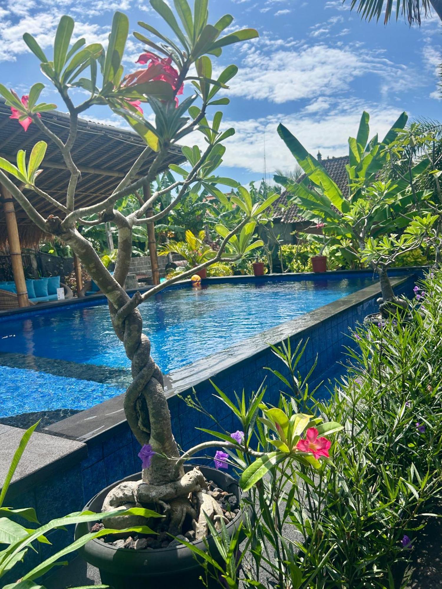 Island Garden Huts Lembongan Bed and Breakfast Eksteriør billede
