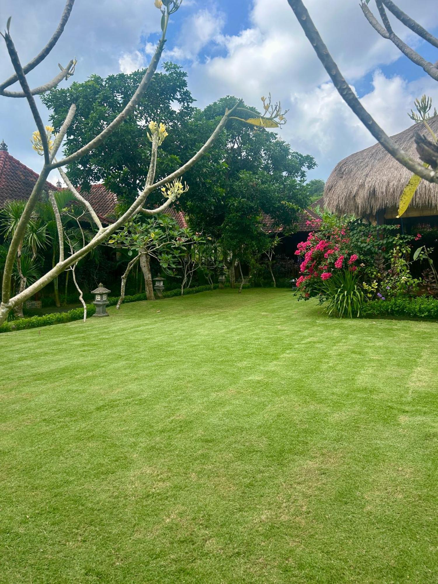 Island Garden Huts Lembongan Bed and Breakfast Eksteriør billede
