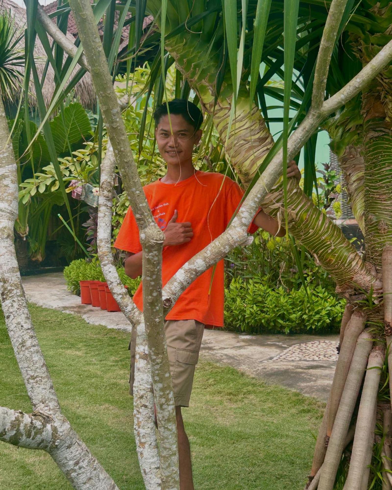 Island Garden Huts Lembongan Bed and Breakfast Eksteriør billede